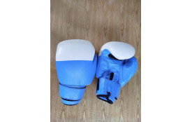 GANTS DE YOSEIKAN BUDO TYPE GANTS DE BOXE