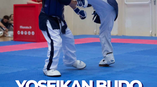 Coupe Régionale Occitanie